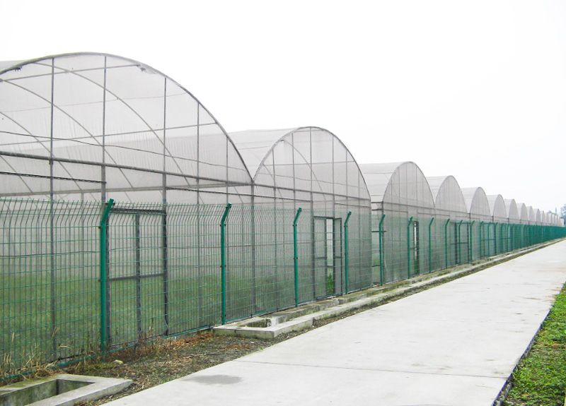 Film Greenhouse