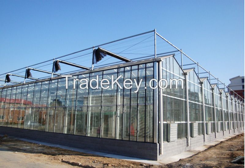 Glass Greenhouse