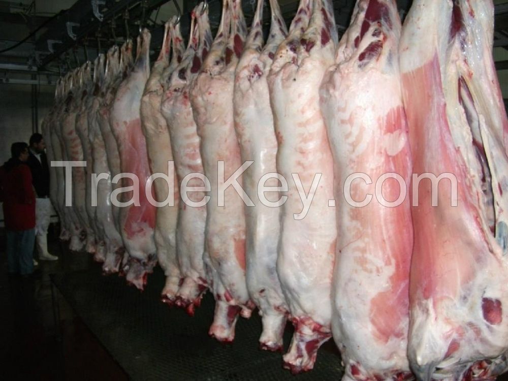 Halal Goat Meat