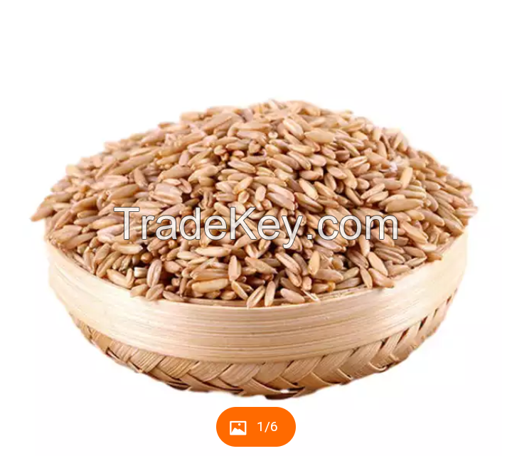 OAT seeds