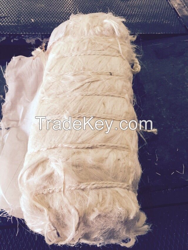 Sisal Fiber