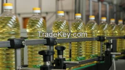 Sunflower Oil