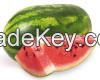 Fresh Water Melons