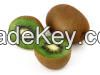 Fresh Kiwi Fruit