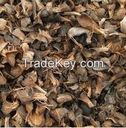 Palm Kernel Shell