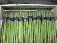 Asparagus