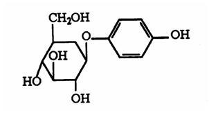 Bilberry Extract