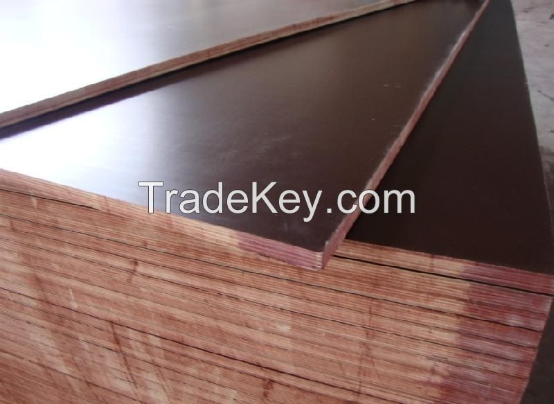 Brown/Black Film Faced Construction Plywood