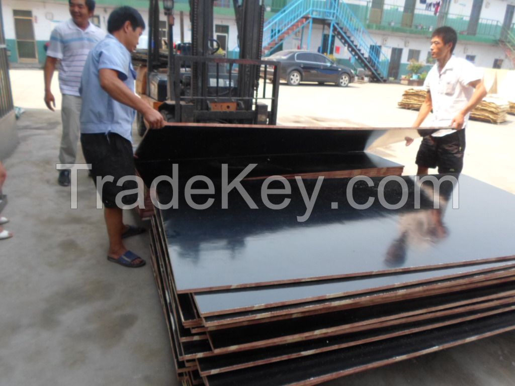 Low Price Film Faced Shuttering Plywood