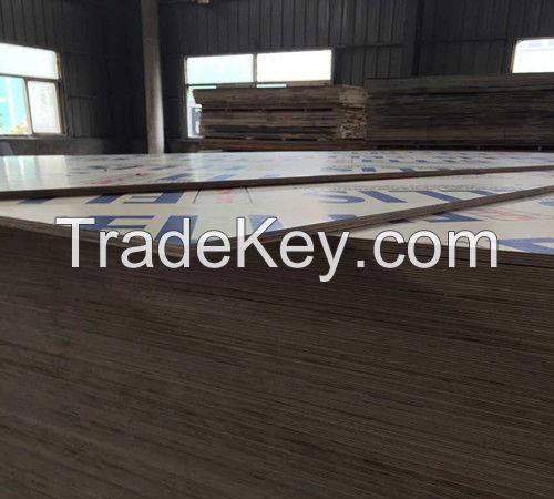  high quality HDO/MDO Plywood