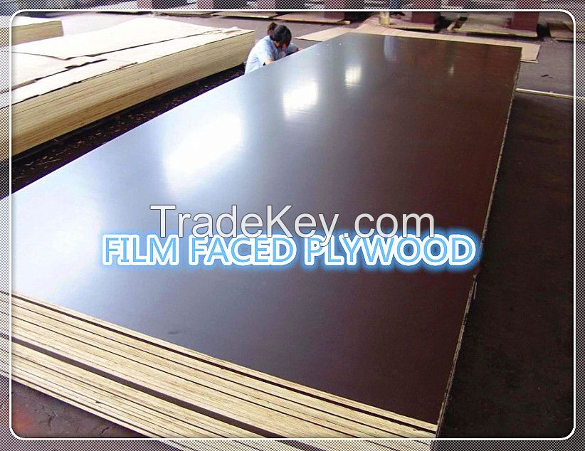 furniture Plywood price