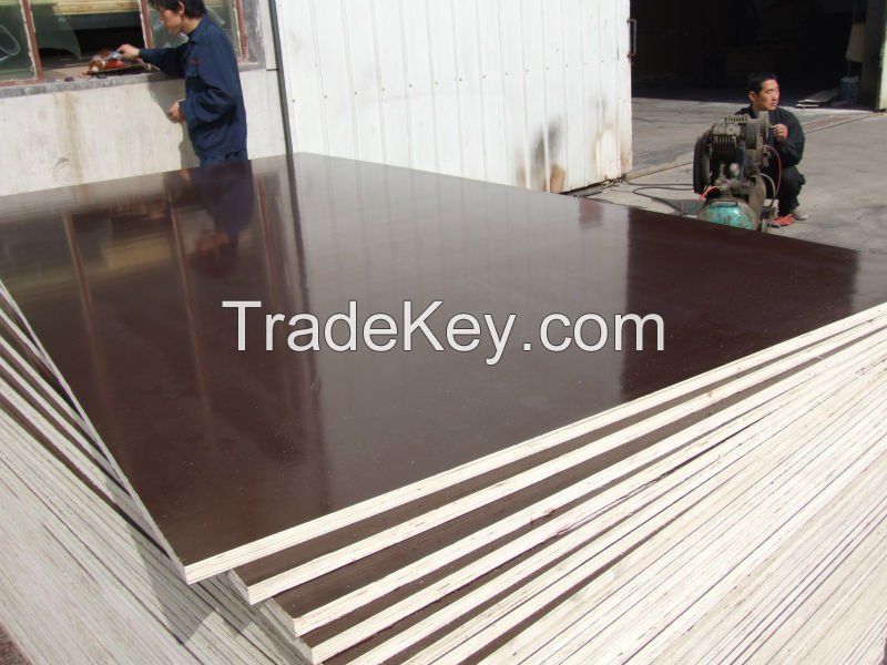 18mm brown film faced Plywood