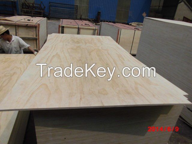 Pine Plywood/birch plywood