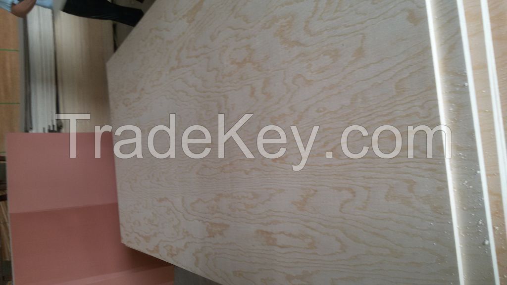 Pine Plywood/birch plywood