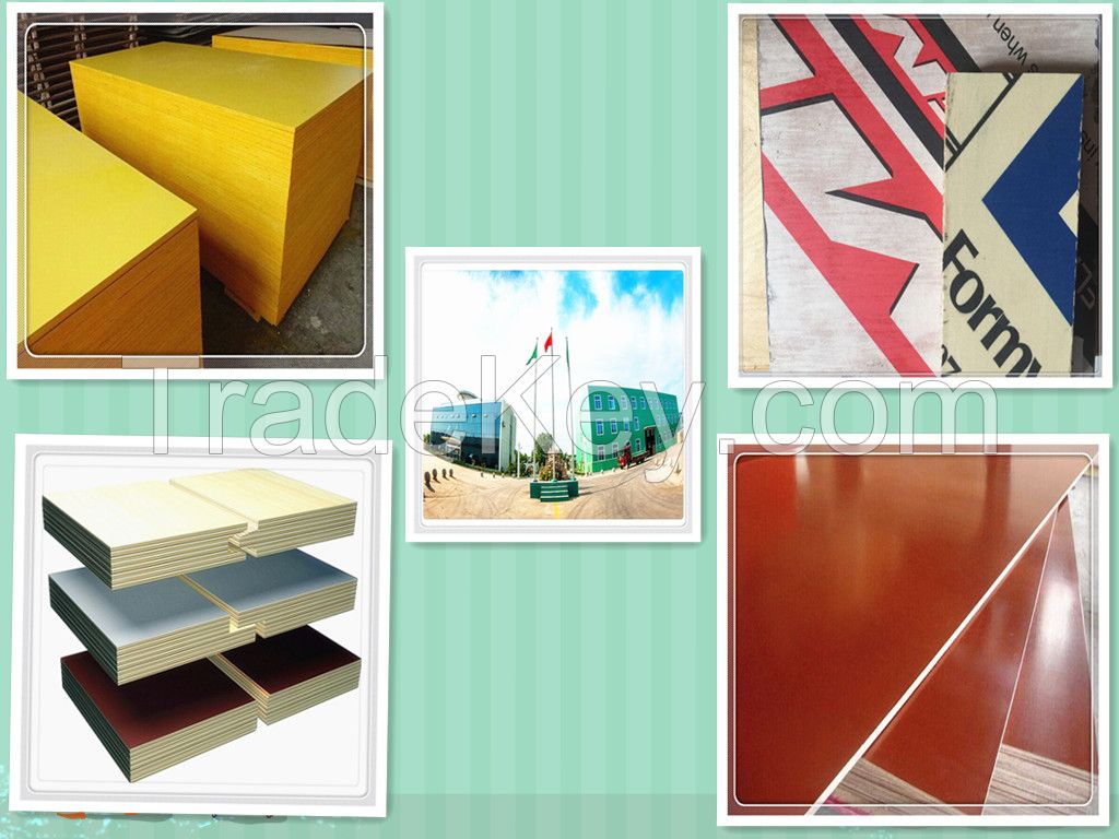 construction Plywood price