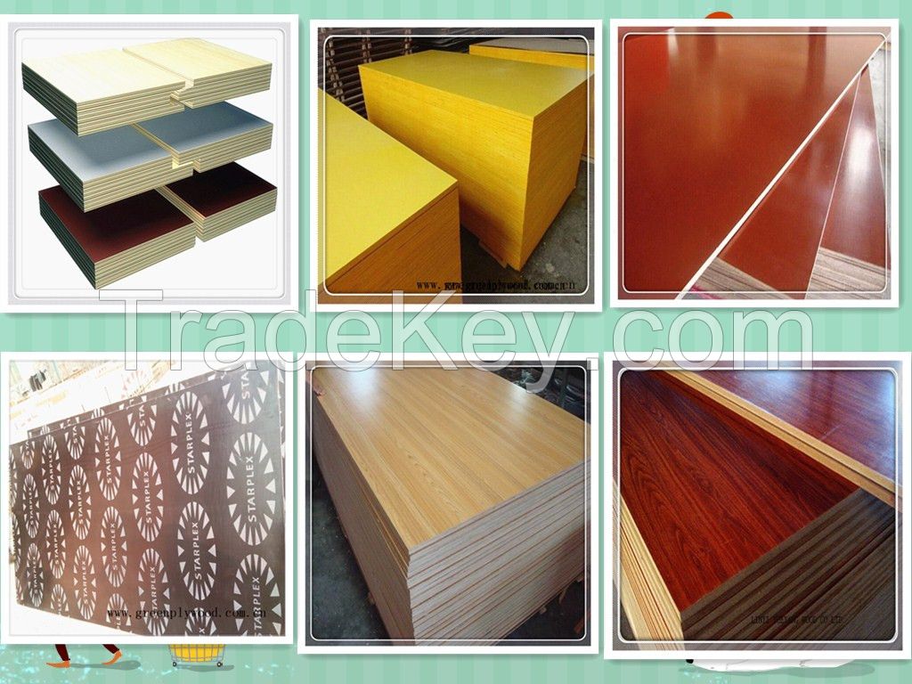 Paper coated Plywood