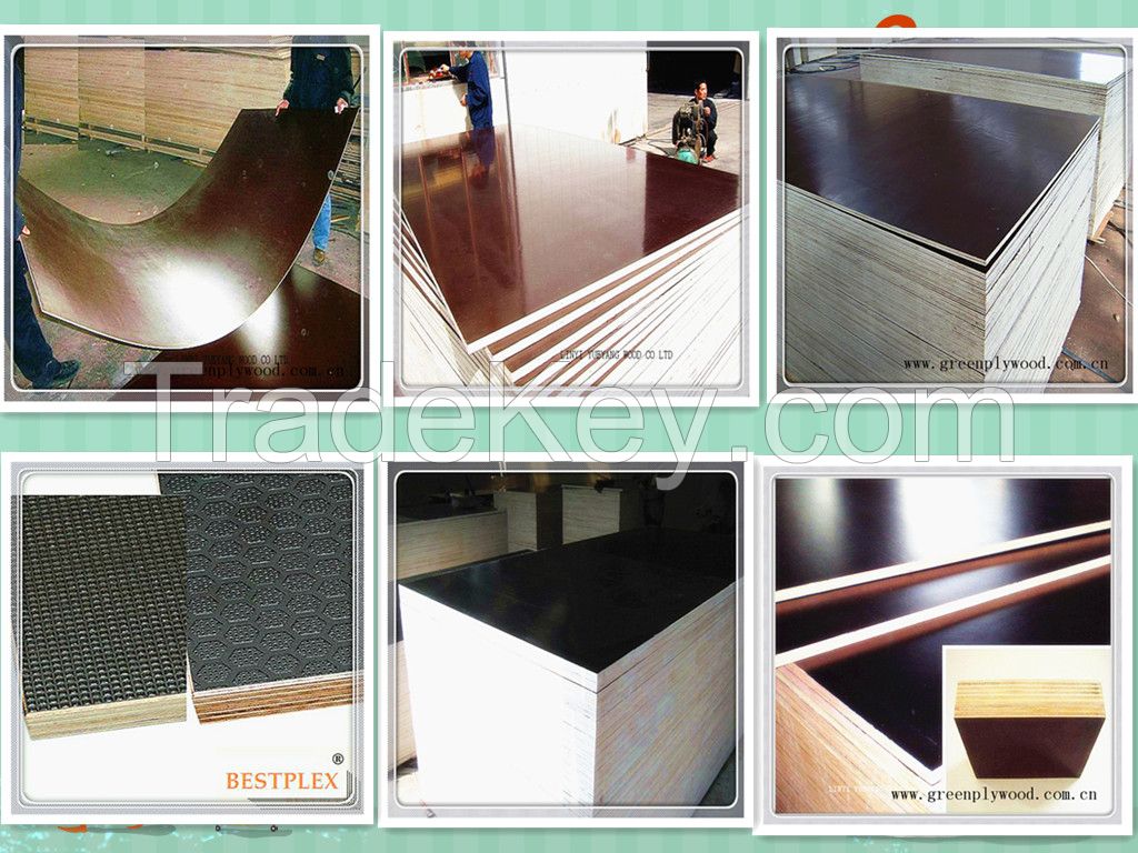 Marine Plywood/construction plywood