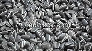 Organic Sunflower Seeds