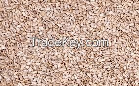 Organic Sunflower Seeds