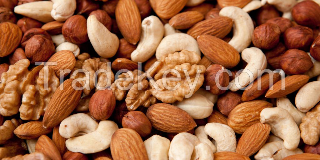 Dry Fruits Nuts And Seeds