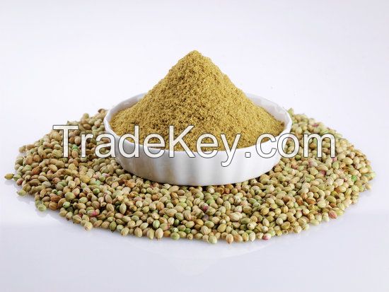 Coriander Powder