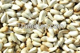 Safflower seeds