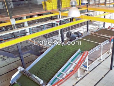 Tea Factory Automation