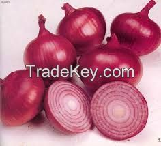 Onions