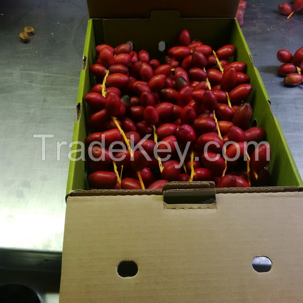 Fresh Dates Khenaizi and Barhee