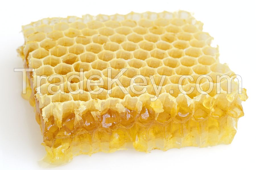 Beewax from Ukraine