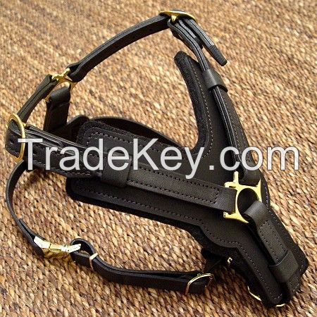 Handmade leather Dog Harness