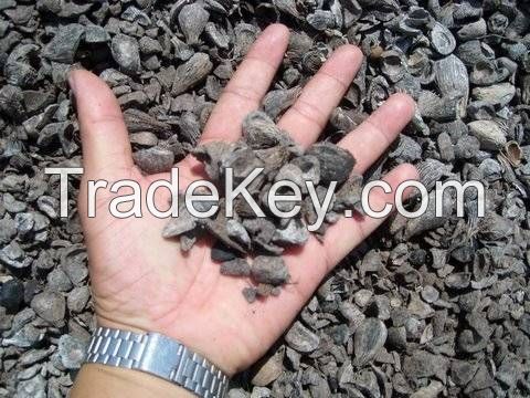 Palm Kernel Shell