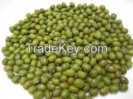 Mung beans