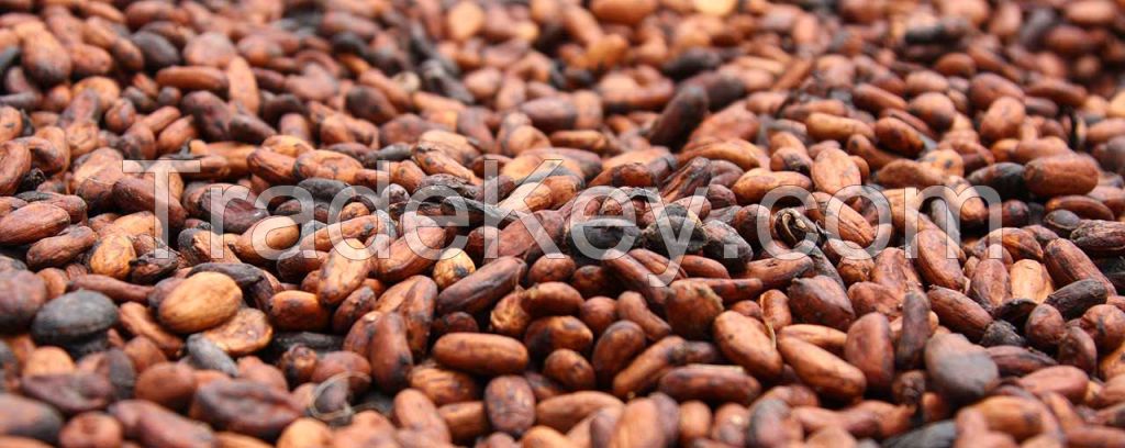 Sun Dried Cocoa Beans(Beans, juice and Powder)