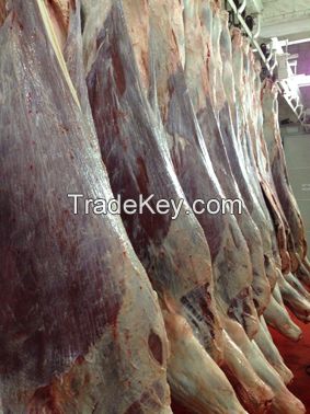 Beef (Half-carcasses/ quarter carcasses)