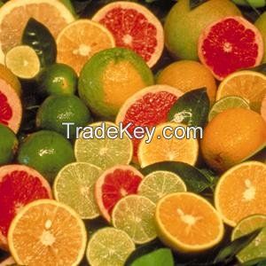 FRESH CITRUS FRUITS