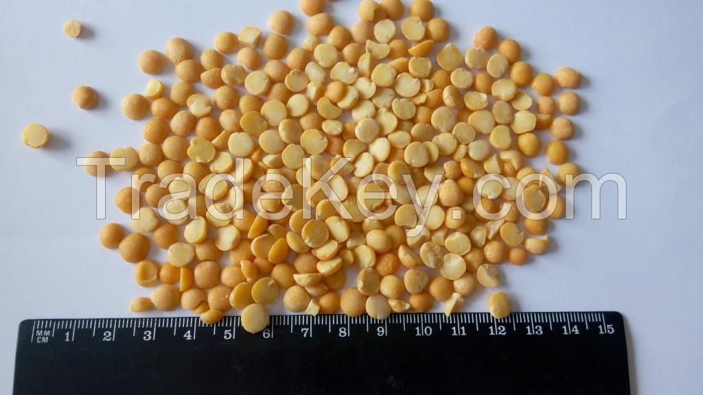 Yellow Peas