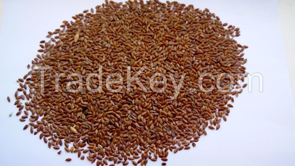 Linseeds | Flax seeds