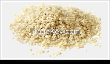 Sesame Seeds