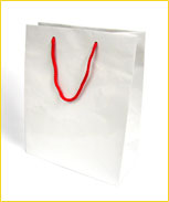 Paper Bags