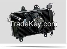 Radiator Fan Module