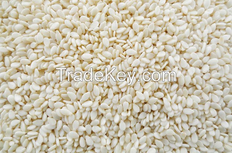 HULLED SESAME SEEDS ,  NATURAL SESAME SEEDS