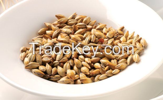 Light brewing barley malt