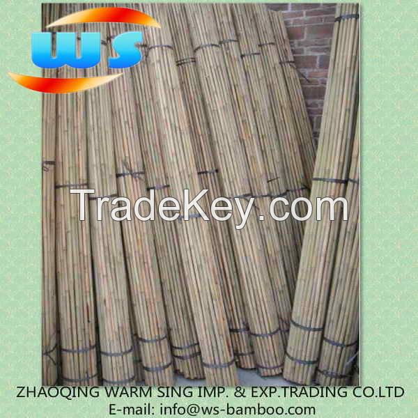 Bamboo cane