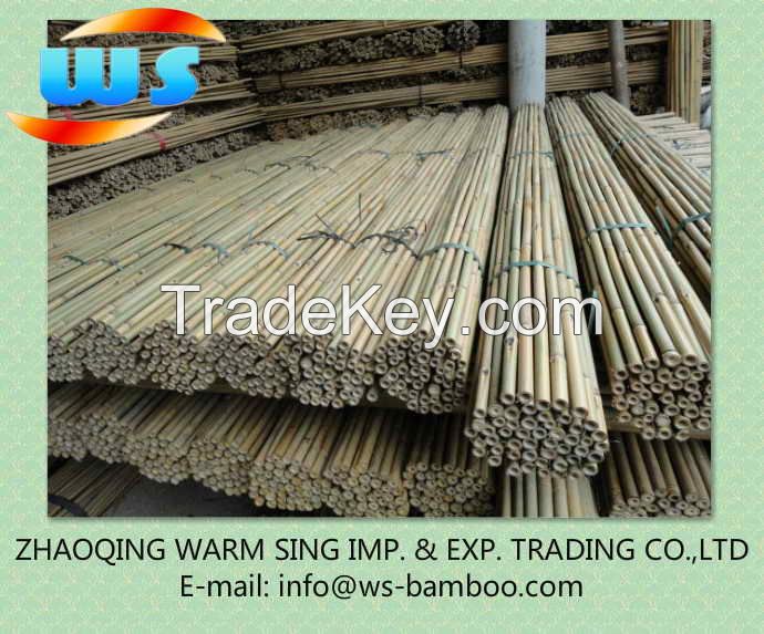 Tonkin bamboo cane