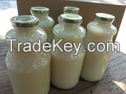 Guyabano (Soursop) Puree Juice