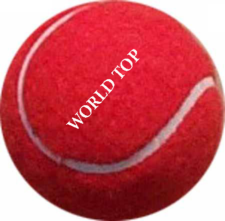 CRICKET TENNIS BALL