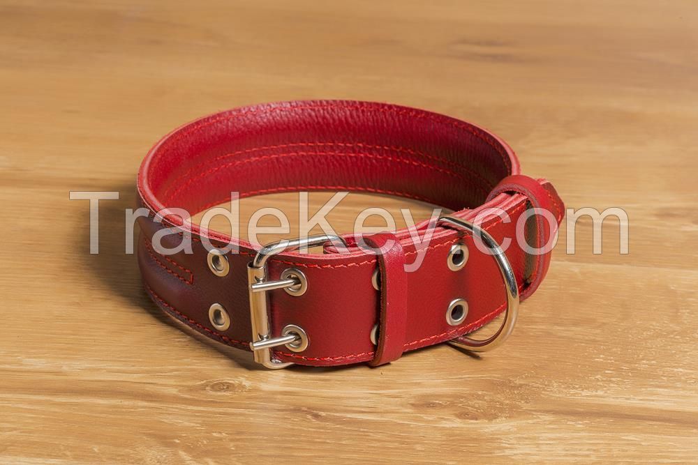 Dog collars &amp;amp; leads