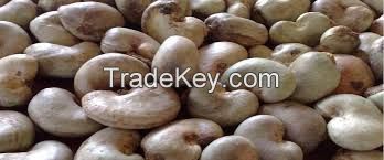 Raw Cashew Nuts