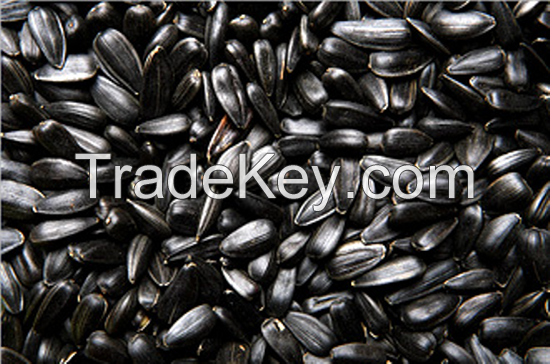 Ukrainian sunflower seeds